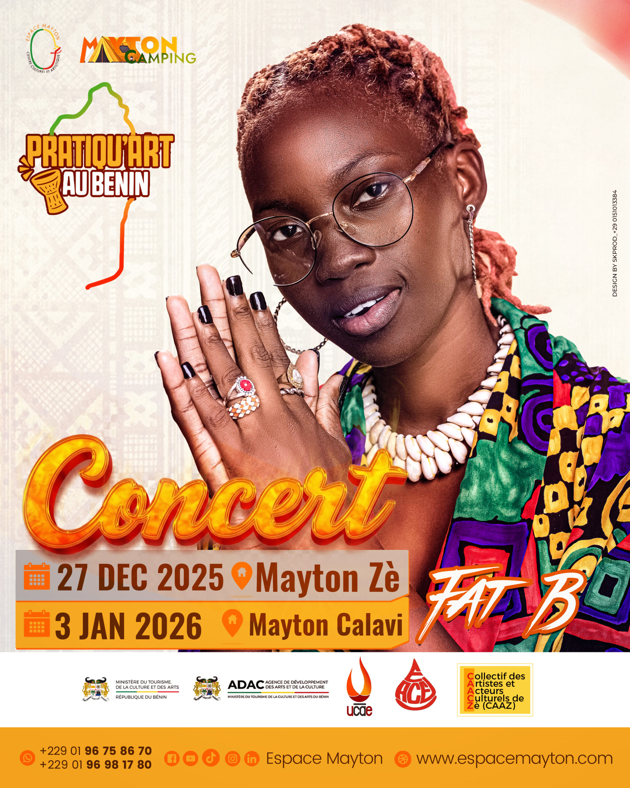 PRATIQU_ART_VISUEL ARTISTE_FAT B